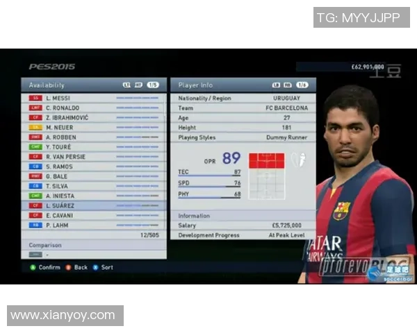 足球球星签字卡单张价格揭秘：收藏市场价值大揭秘